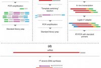 Q Connect Label Template Awesome Rna‐seq Methods for Transcriptome Analysis Hrdlickova