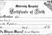 Build A Bear Birth Certificate Template Awesome Make Your regarding Pet Birth Certificate Template 24 Choices