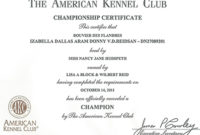 Championship Certificate | Reidsan in Best Certificate Of Championship