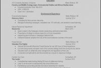 Ceo Report to Board Of Directors Template New 25 New Chief Executive Officer Resume Sample Free Resume Sample