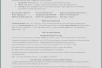 Hr Management Report Template New Resume Sample Vp Business Development New Sample Resume Business