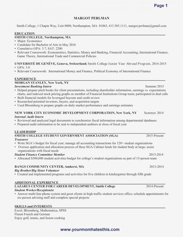 Ind Annual Report Template Awesome Resume Examples Big 4 Accounting Best Of Photos Finance Professional