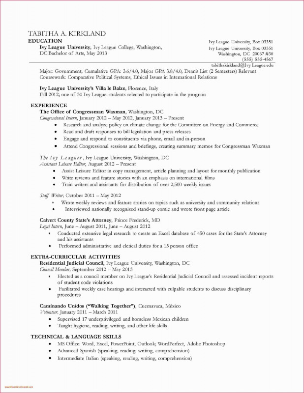 Office Incident Report Template Professional One Page Business Summary Template Caquetapositivo