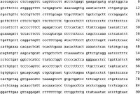 Rapporteur Report Template Awesome Ep2459232b1 Use Of Mirna for the Treatment Of Diseases Linked to