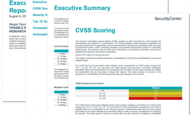 Report Template New Executive Age Summary Report Sc Report Template Tenablea