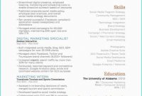 Seo Report Template Download Awesome Resume for Digital Marketing Valid Seo Resume Sample Download New