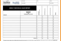 Superintendent Daily Report Template New Daily Sales Call Report Template Free Download and Daily Sales