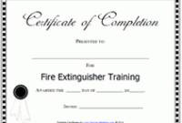 Fire Extinguisher Certificate Template 3