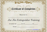 Fire Extinguisher Certificate Template 6