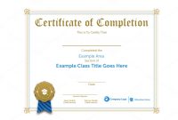Professional Award Certificate Template 2