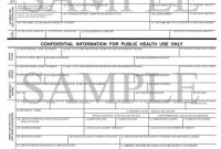 South African Birth Certificate Template 7