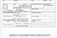 Rabies Vaccine Certificate Template 6