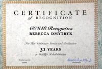 Recognition Of Service Certificate Template 2
