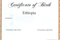 Fake Birth Certificate Template 5
