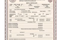 Mexican Birth Certificate Translation Template 8