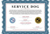 Service Dog Certificate Template 6