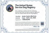 Service Dog Certificate Template 9
