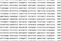 Certificate Of Vaccination Template New Reverse Genetics Of Negative Strand Rna Viruses In Yeast