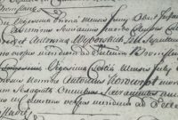 Mexican Marriage Certificate Translation Template Unique forum Polishorigins View topic Latin Records Translations