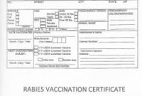 Dog Vaccination Certificate Template 3