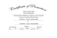 Promotion Certificate Template 5