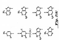 99.1 Mm X 38.1 Mm Label Template Unique Peptide Nucleic Acids Patent 1411063
