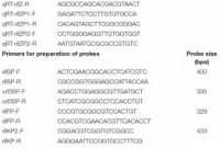 Blank Table Of Contents Template Awesome Frontiers Glnr Dominates Rifamycin Biosynthesis by