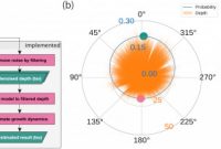 Blank Tree Diagram Template Unique Probabilistic Model Based On Circular Statistics for