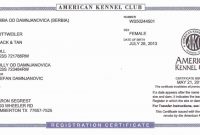 Blanks Usa Templates Awesome Blank Birth Certificate Basic Novelty Birth Certificate