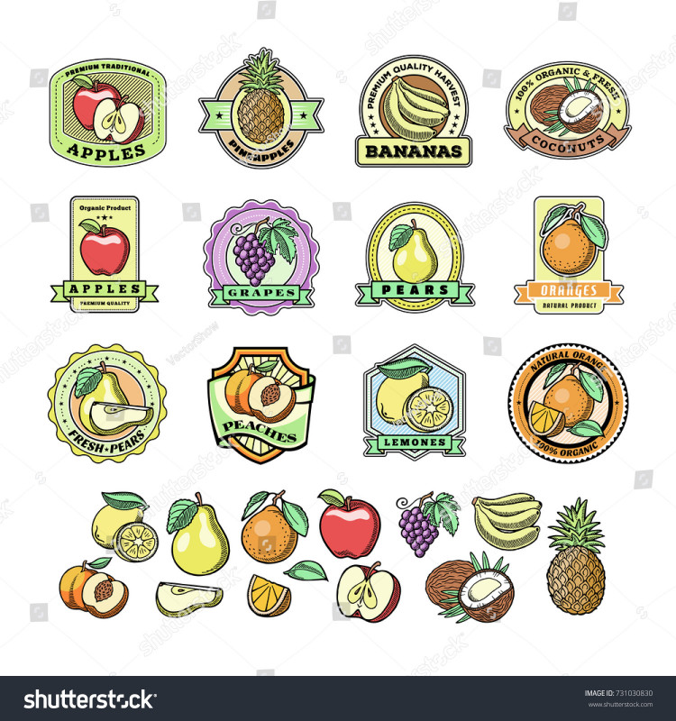 Food Product Labels Template Awesome Fruit Badge Templates Labels Sample Text Stock Vector