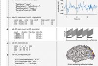 Science Fair Labels Templates Unique Ieeg Bids Extending the Brain Imaging Data Structure