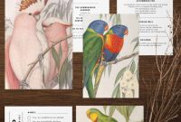 Template for Rsvp Cards for Wedding New Australian Birds