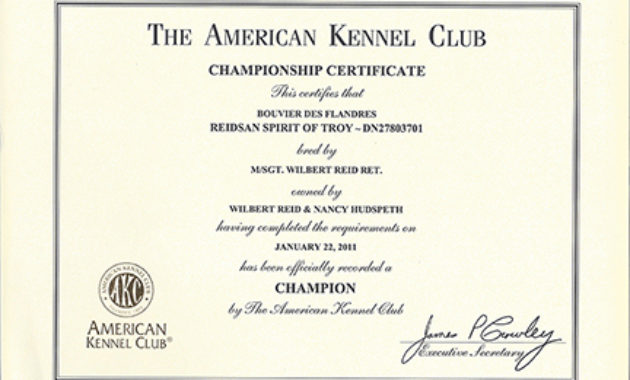 Certificate Archive | Reidsan throughout Certificate Of Championship