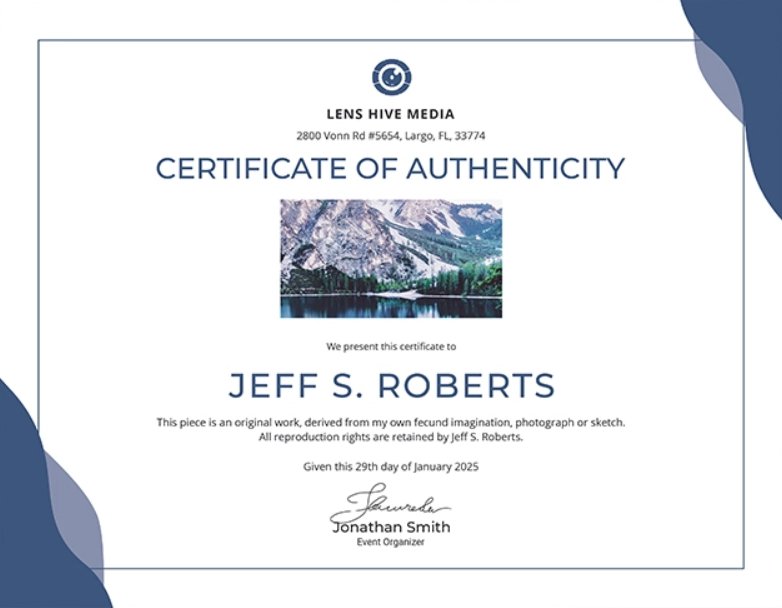 Certificate Of Authenticity: Templates, Design Tips, Fake with regard to Free 24 Martial Arts Certificate Templates 2020