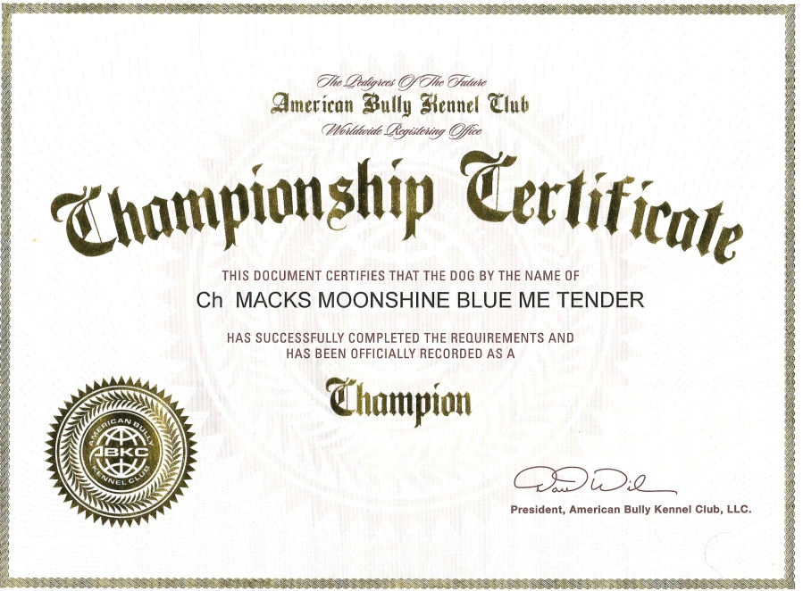 Champion Macks regarding Certificate Of Championship