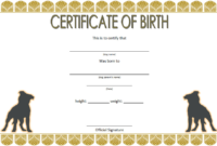 Dog Birth Certificate Template Free 3 | Dog Birth, Birth for Best Dog Training Certificate Template Free 10 Best