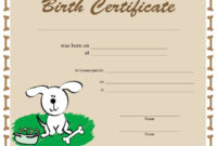 Free Printable Pet Rock Adoption Certificate – Pet'S Gallery in Unique Puppy Birth Certificate Free Printable 8 Ideas