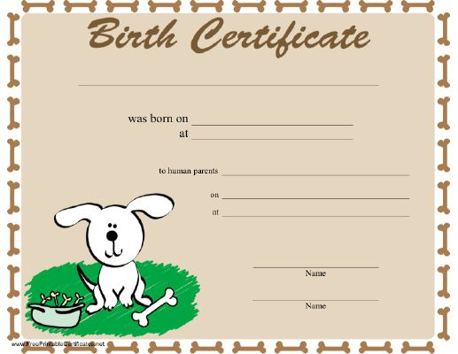 free-printable-pet-rock-adoption-certificate-pet-s-gallery-in-unique