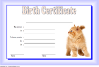 Kitten Birth Certificate Template For 2020 (Version 1) In with Unique Kitten Birth Certificate Template