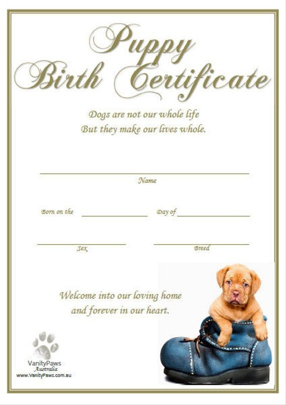 Puppy Birth Certificate - Blue Shoe (Instant Download) | Dog intended for Puppy Birth Certificate Template