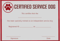 Service Dog Training Certificates Template | Certificate intended for Dog Training Certificate Template Free 10 Best